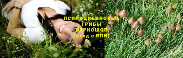 марихуана Гусиноозёрск