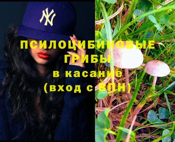 прущая мука Гусь-Хрустальный