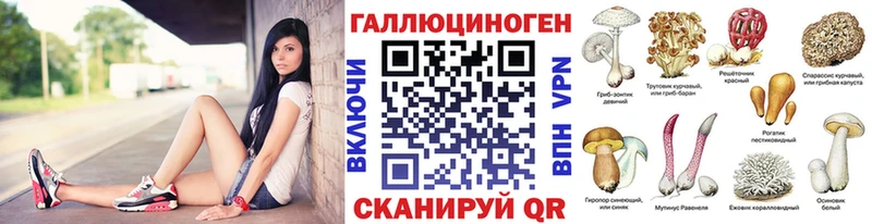 Псилоцибиновые грибы Magic Shrooms  Купить закладки  Великий Новгород 